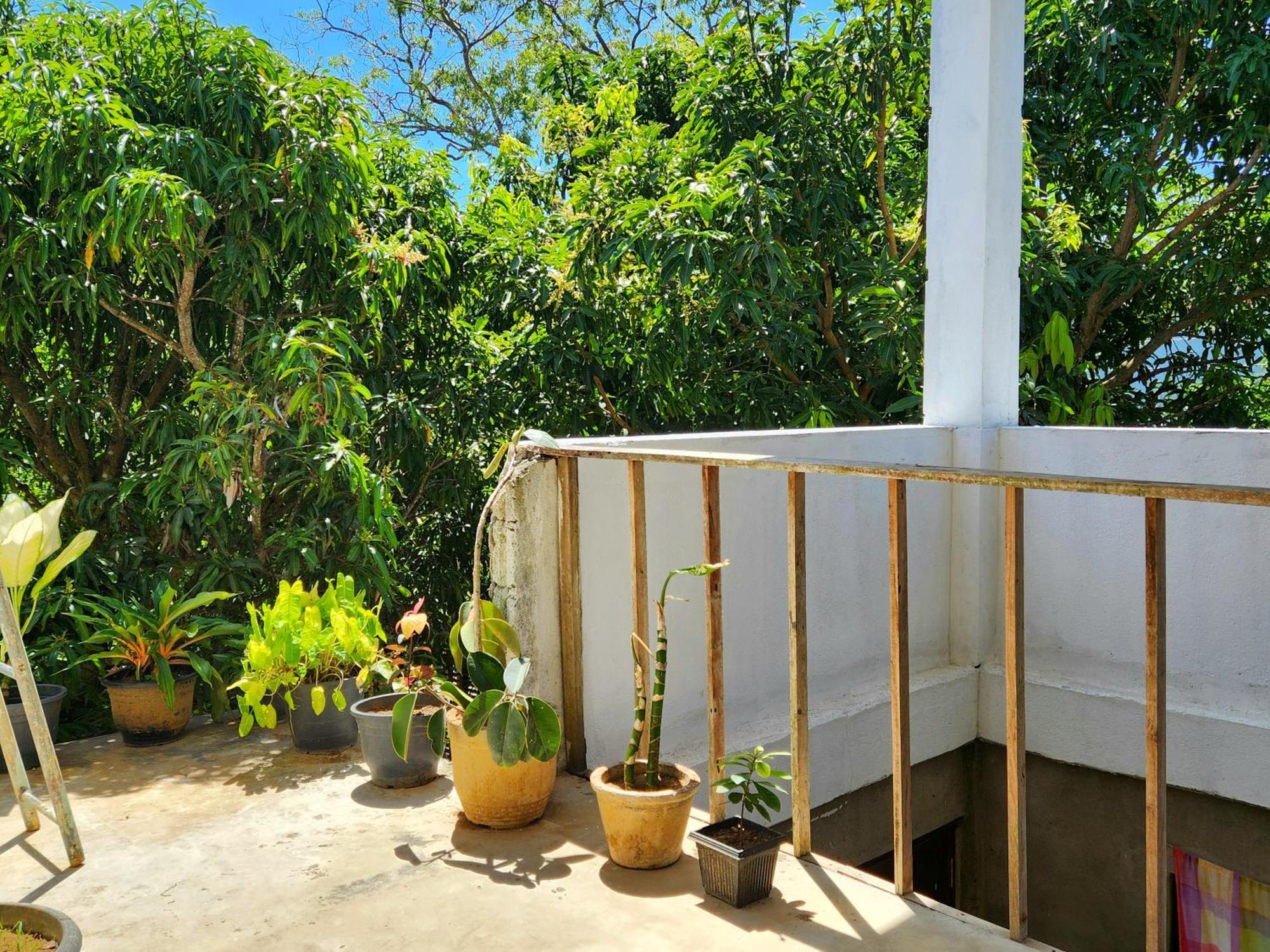 Sun Sea Guest Home Tangalle Esterno foto